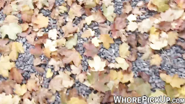 European street slut taken and fucked doggystyle outside