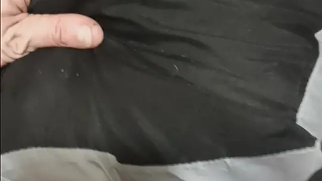 Enjoying some playful moments