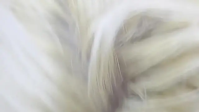 More help needed &mdash;  cock🌭 was slurped!