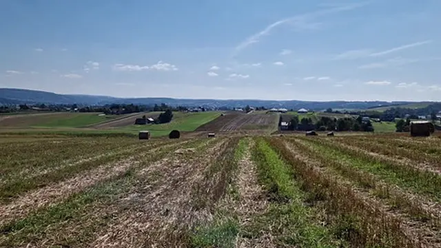 Ja po prostu kocham seks