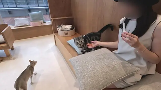 【個人撮影】彼女が水着でプール前、仰向けでフェラチオ　彼氏視点の