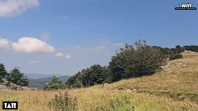 my best friend joined my hike and made me drain his balls in the mountains - little arden