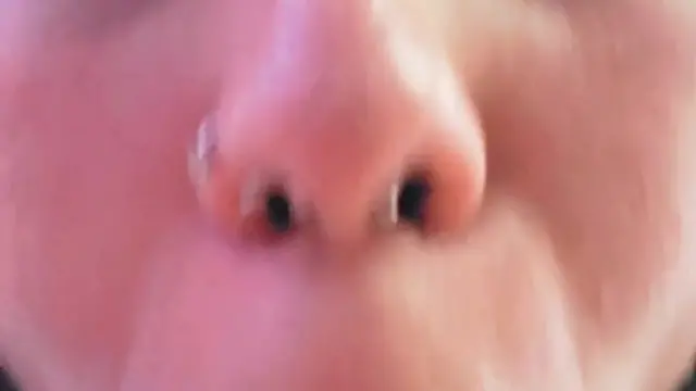 Minha cunhada veio na minha casa e me deu um boquete gostoso