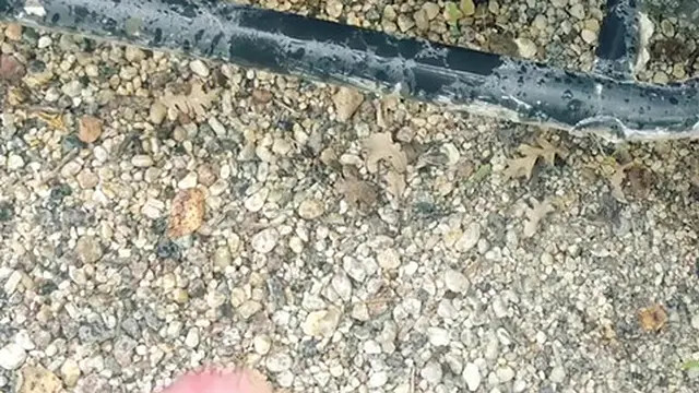 Hardcore Solo Male Outdoor Urination Compilation