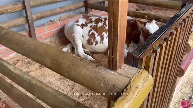 Colombian cowgirl rides hard in sexy costume on vacation