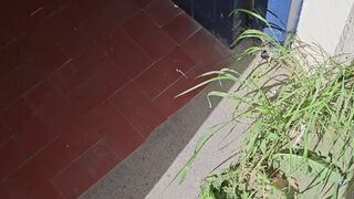 Compilation of some toilet —  urinal and floor pissing  7 POV scenes 