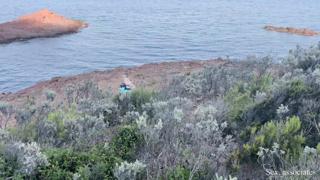 Grove'd beachside blowjobs, initially awkward, soon succulent and draining
